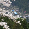 桜山公園より