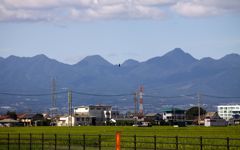 IMG_2964