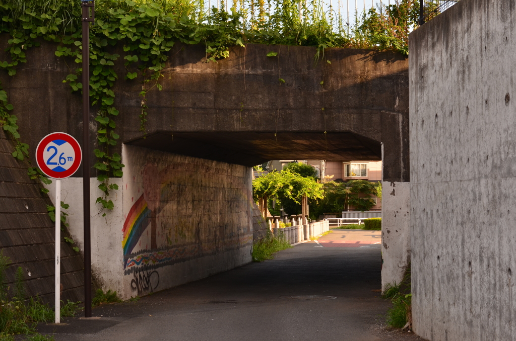 散歩道