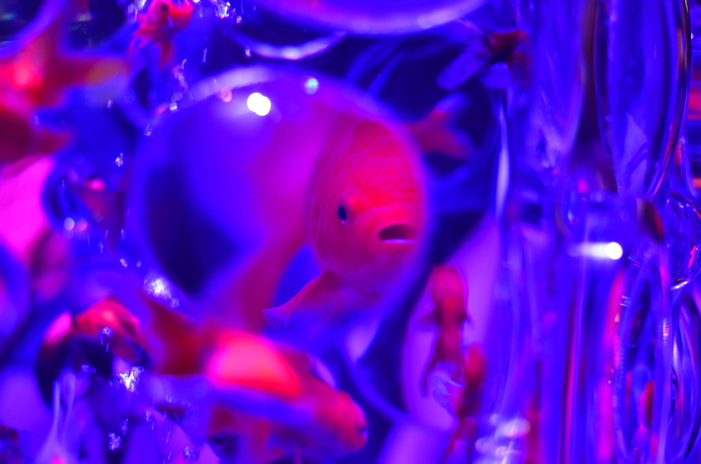 青
