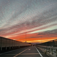 秋です。