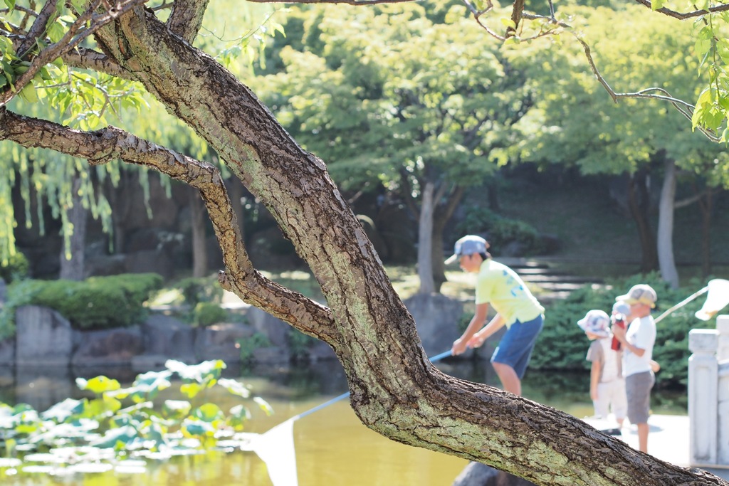 夏休み