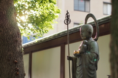 木漏れ日