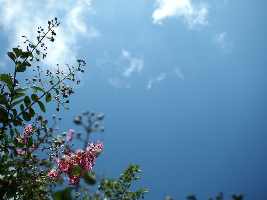 久々の青空