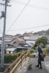 猫島　その3