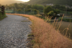夕暮れ