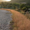 夕暮れ