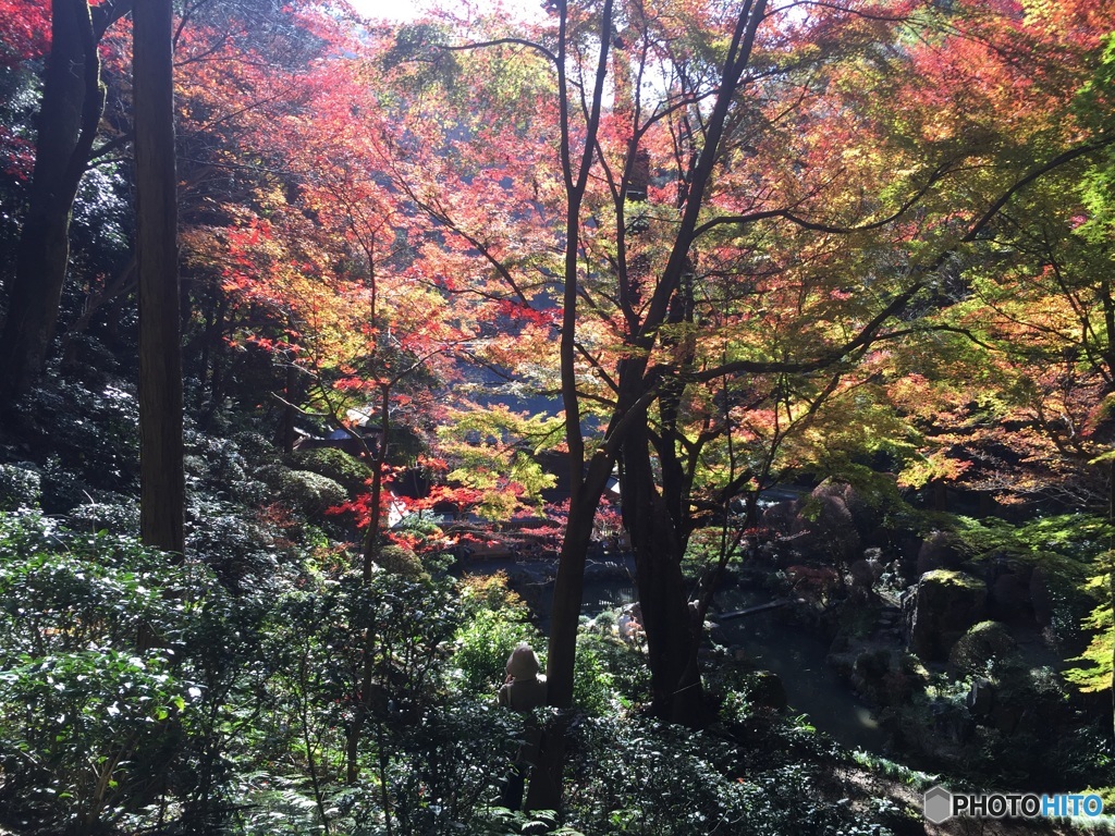 春日井市 内々神社