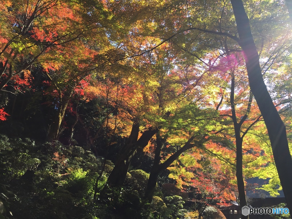 春日井市 内々神社