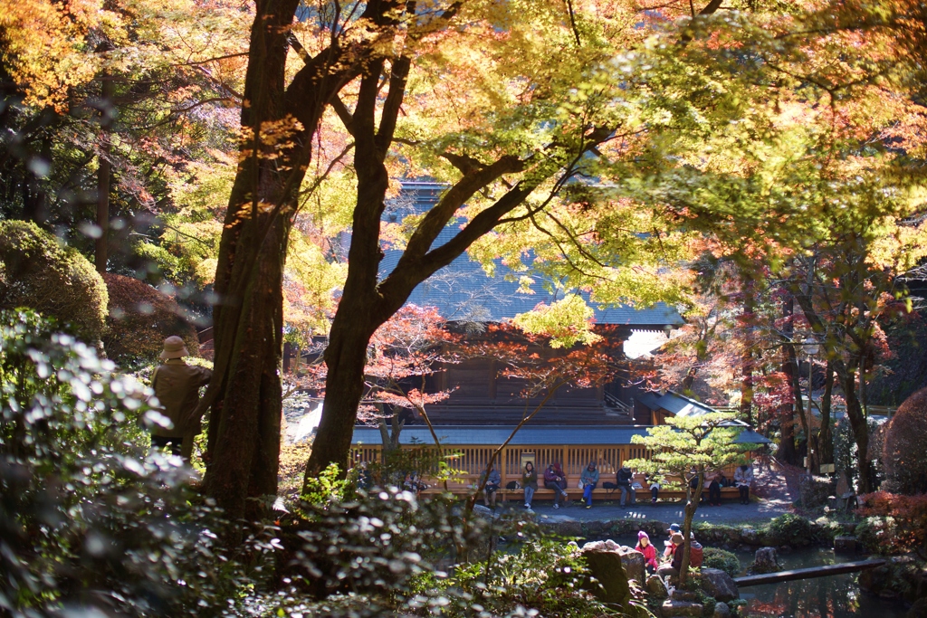 春日井市　内々神社