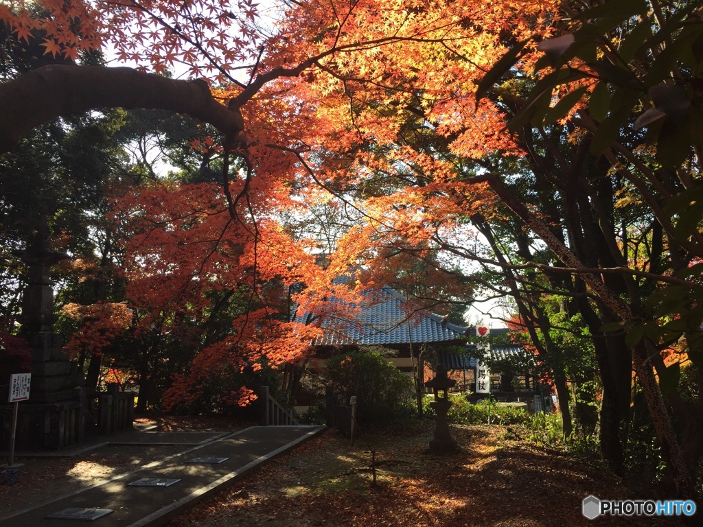 犬山 寂光院