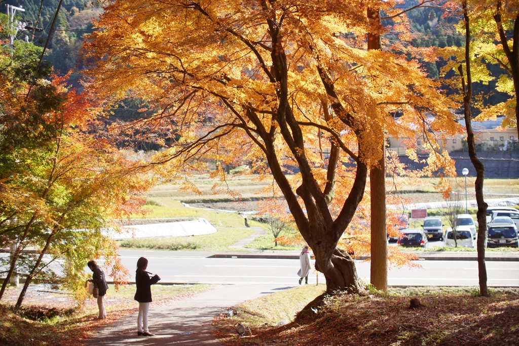 岐阜県　土岐市　曽木公園