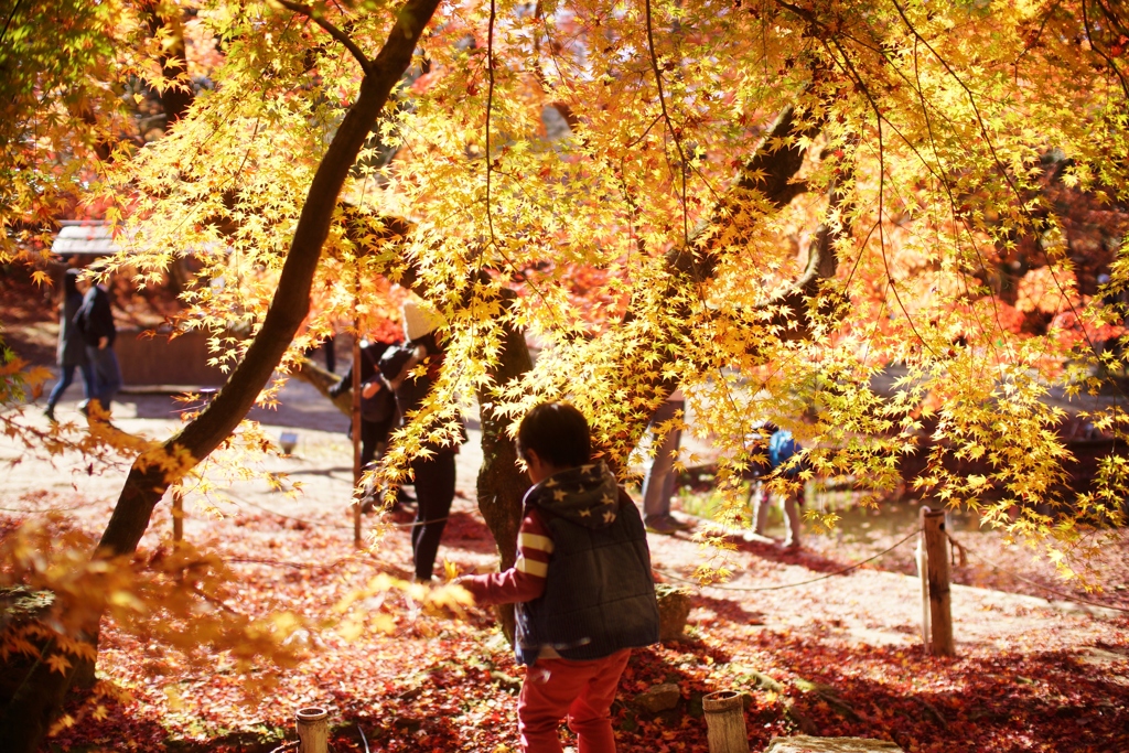 岐阜県　土岐市　曽木公園