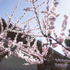 DSC02303