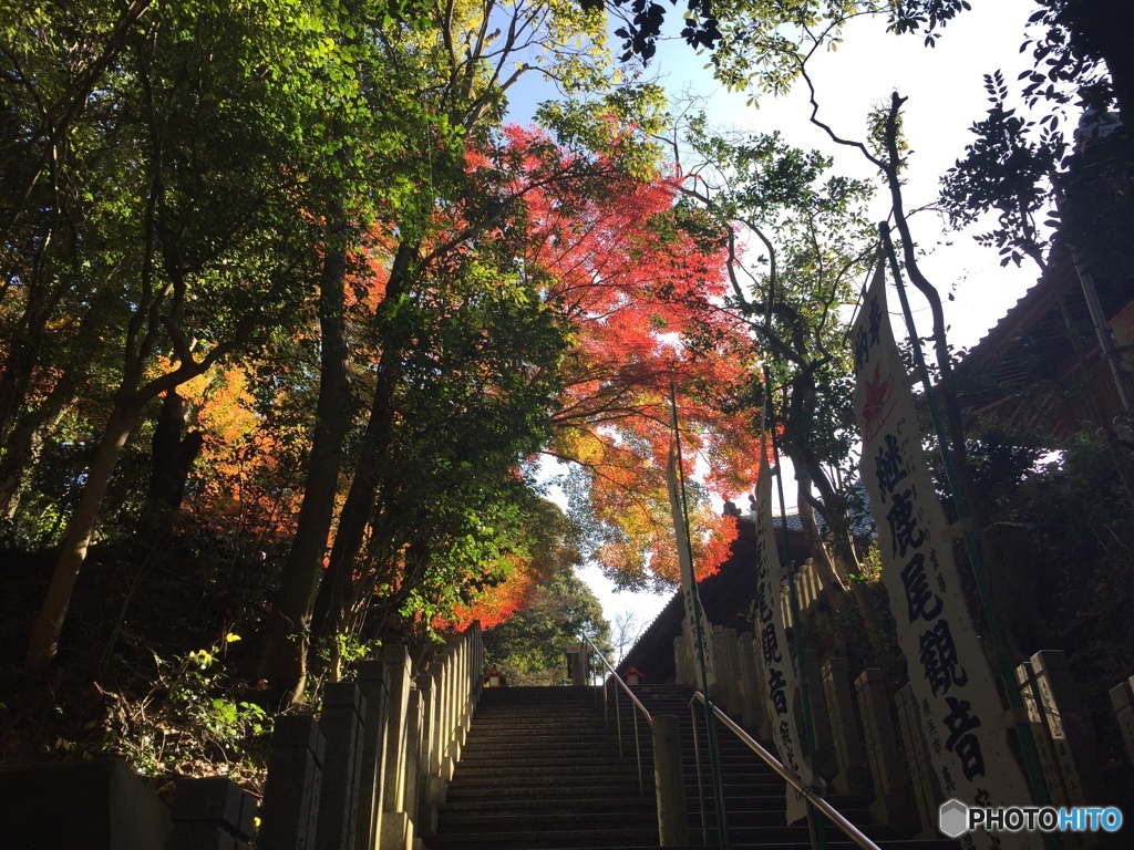 犬山 寂光院