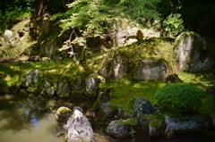 tagataisya Shiga (1)