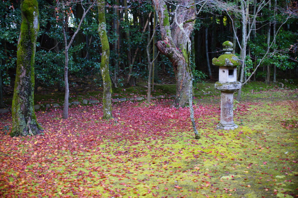 koto-in kyoto