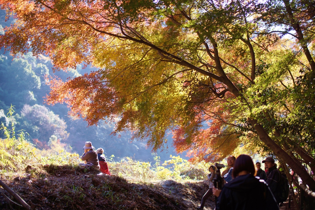 定光寺 近代産業遺産【愛岐トンネル群】