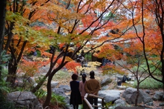 白鳥庭園