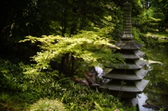 Rokkaen and Mr,Moroto's Park in Kuwana 