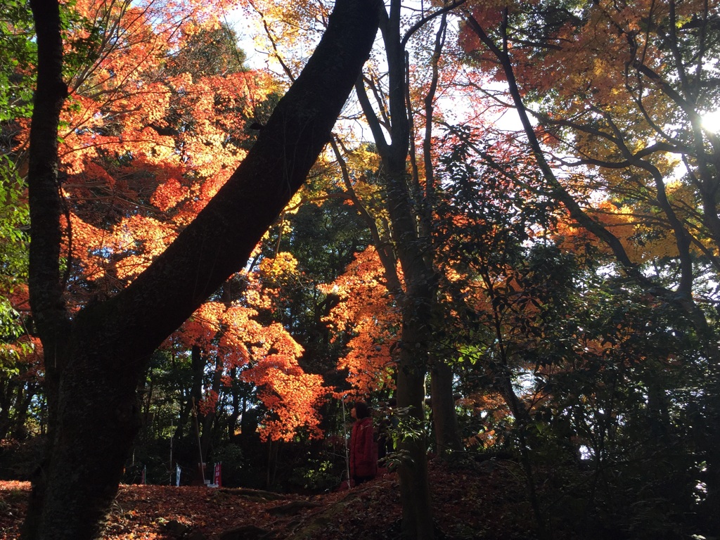 犬山 寂光院