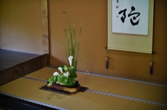 Rokkaen and Mr,Moroto's Park in Kuwana C