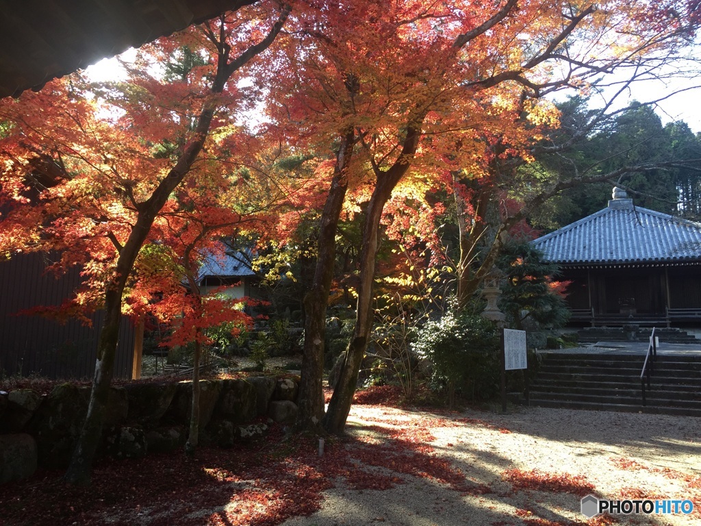 愛知県 瀬戸市 万徳寺