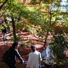 直指庵