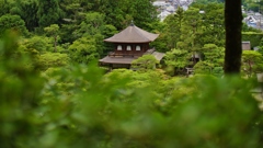 ginkaku kyoto