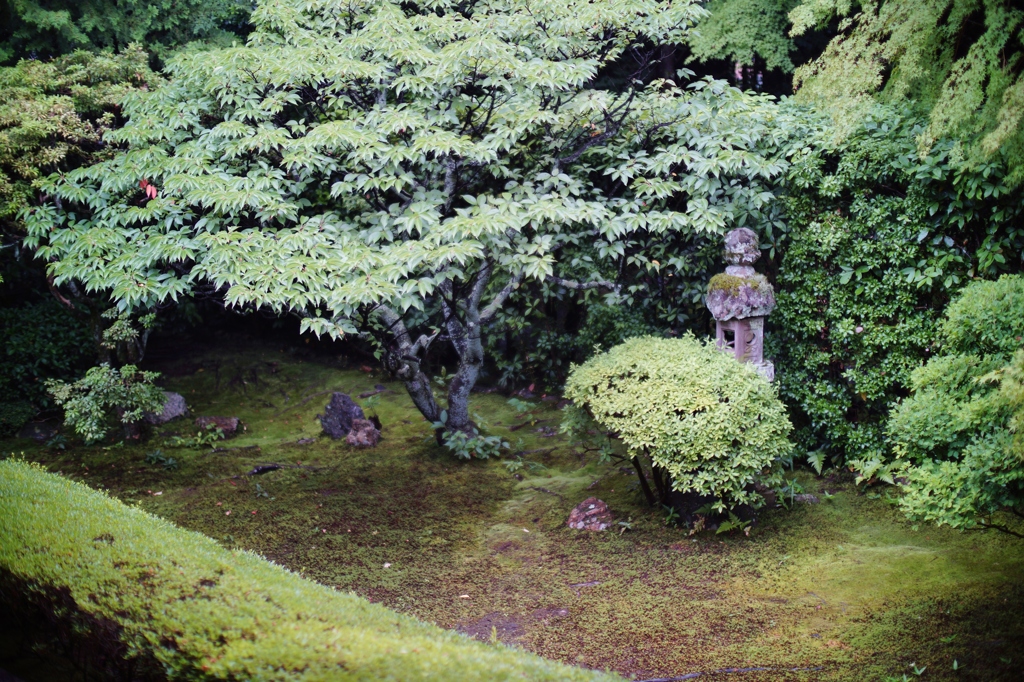 keisyunin kyoto