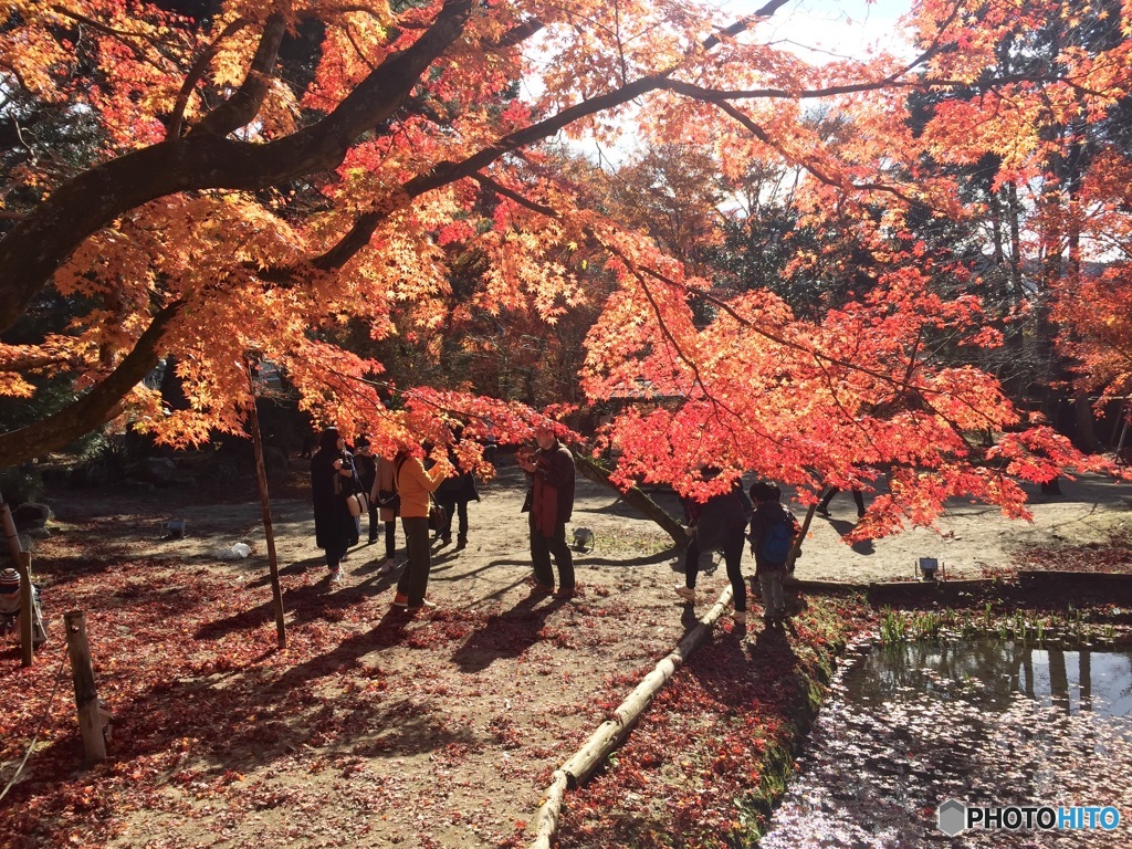 曽木公園