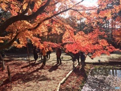 曽木公園