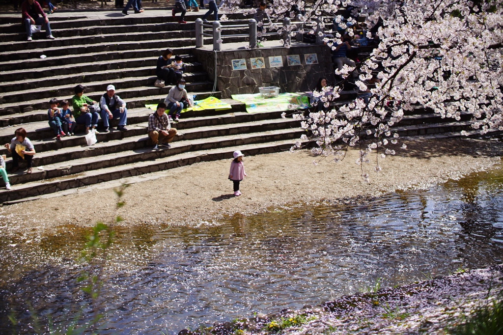 DSC01785