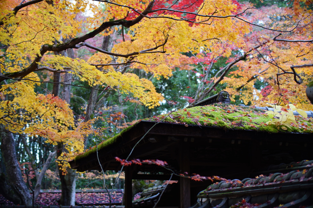 koto-in kyoto