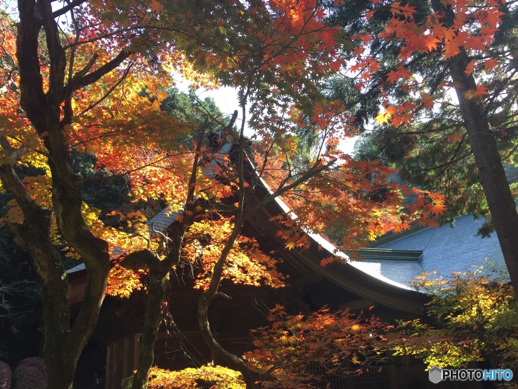 愛知県春日井市 内々神社