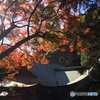 春日井市 内々神社