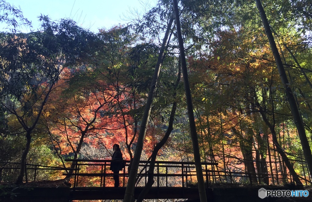 定光寺 近代産業遺産【愛岐トンネル群】