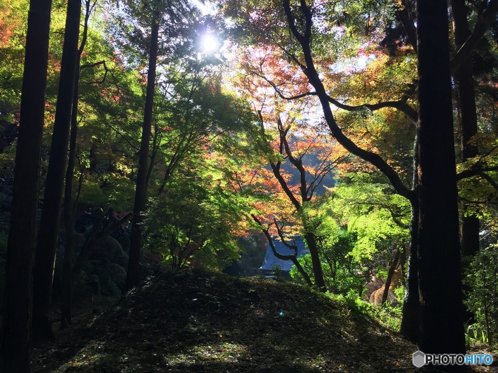 愛知県春日井市 内々神社