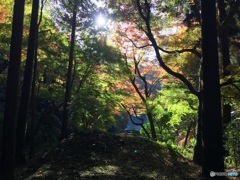 愛知県春日井市 内々神社