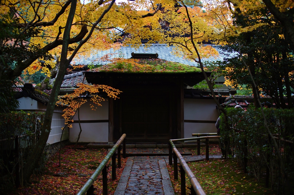 koto-in kyoto