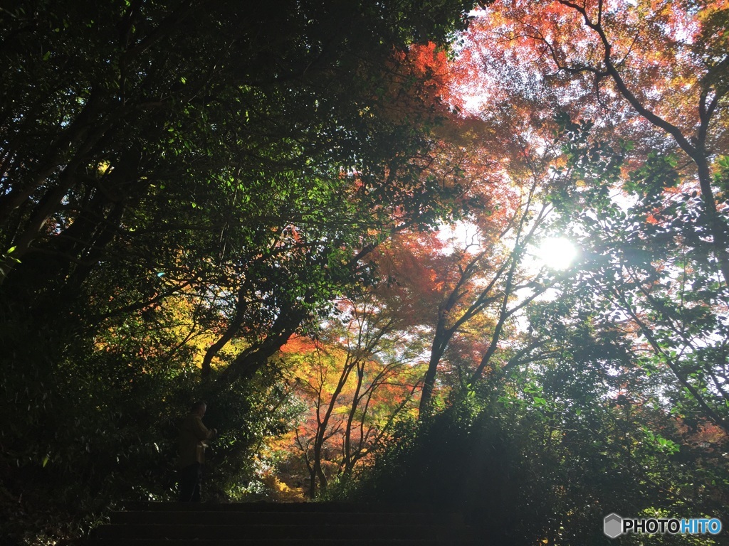 犬山 寂光院