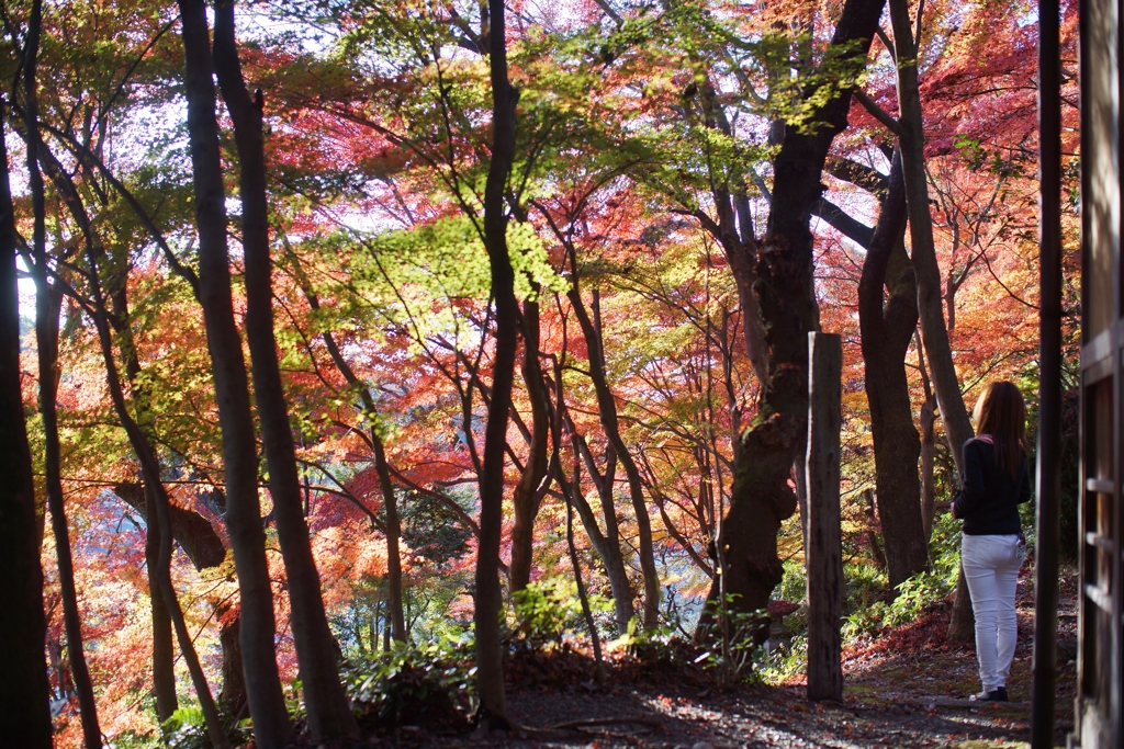岐阜県多治見市市之倉町８丁目