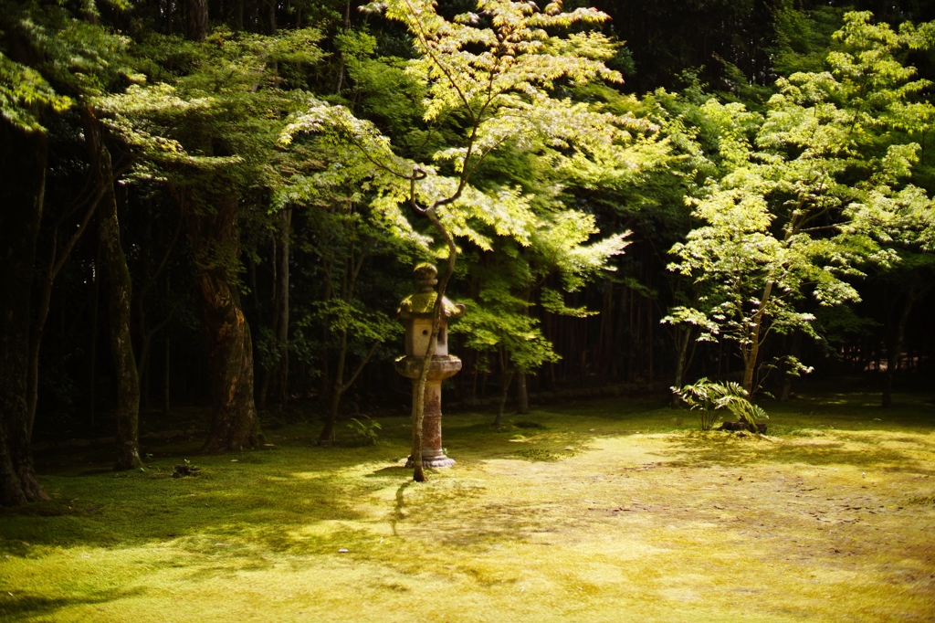 koto-in　kyoto