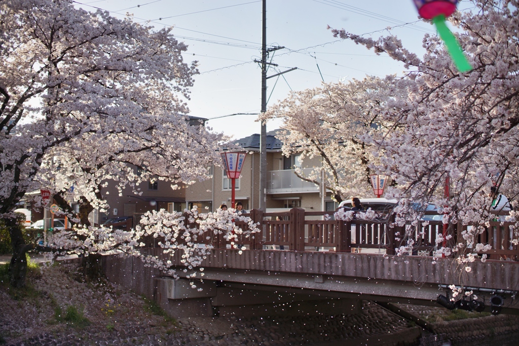 DSC03288