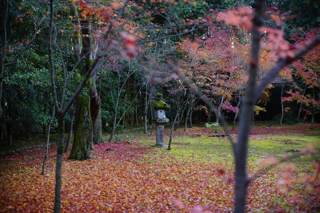 koto-in kyoto