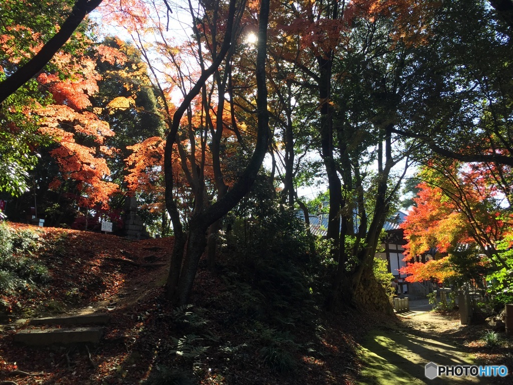 犬山 寂光院