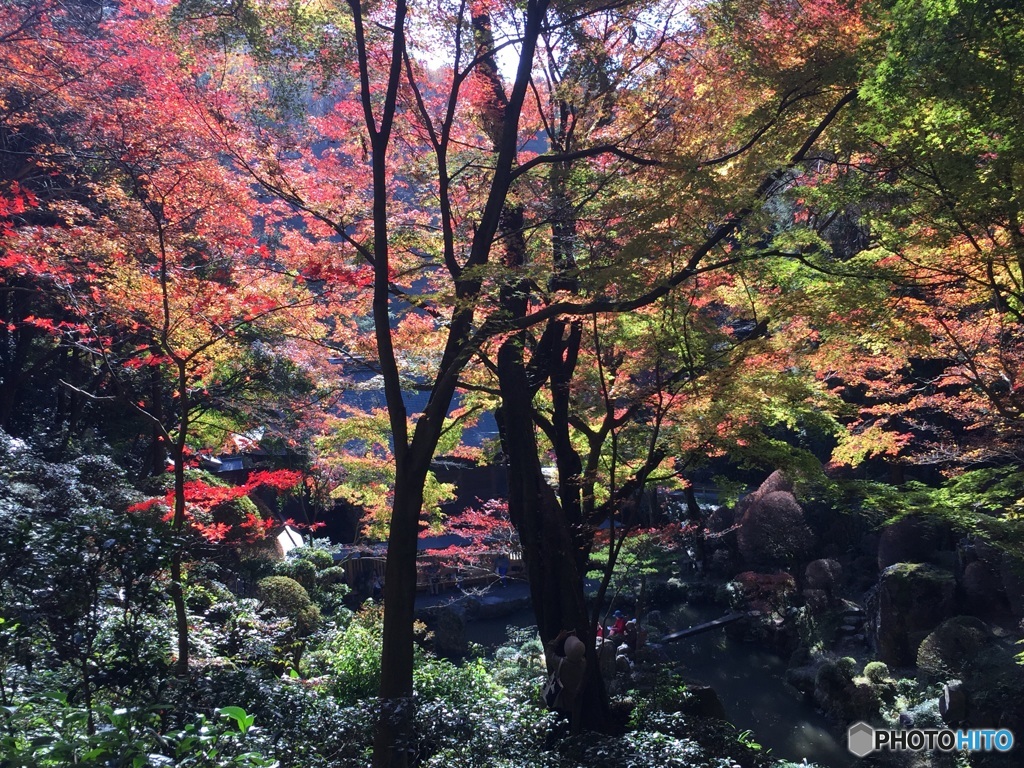 春日井市 内々神社