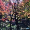 春日井市 内々神社