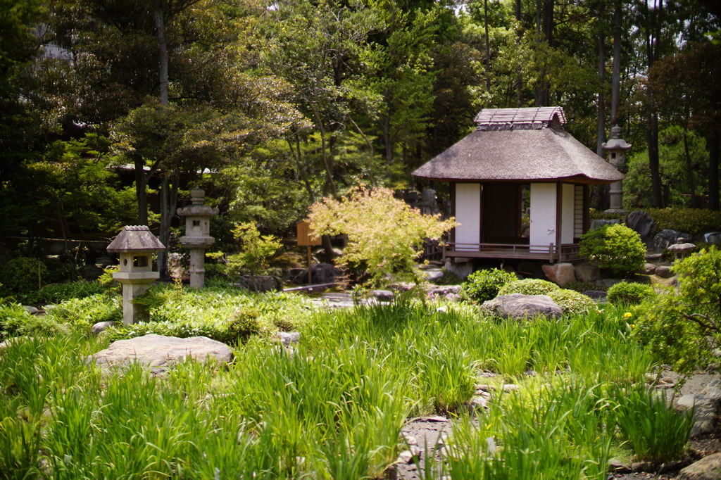 Rokkaen and Mr,Moroto's Park in Kuwana C