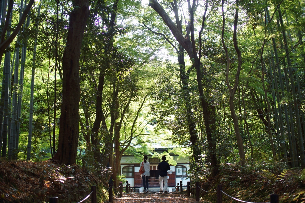 地蔵院